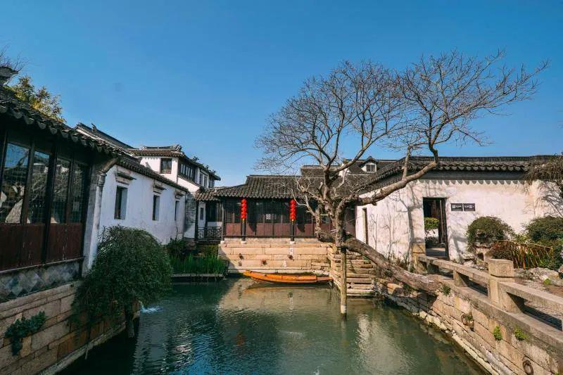 动物帮帮忙保卫家园